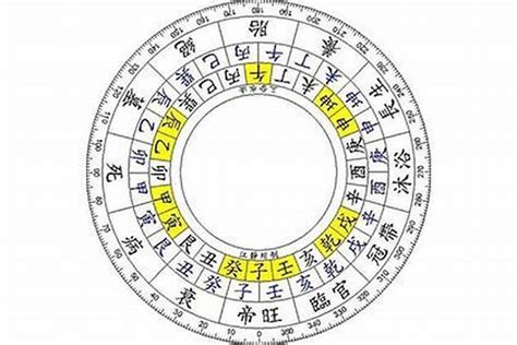 丑庫|四柱八字：四庫、辰、戌、丑、未詮釋